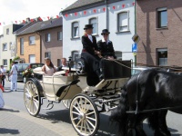IMG_1206 - Kopie.JPG